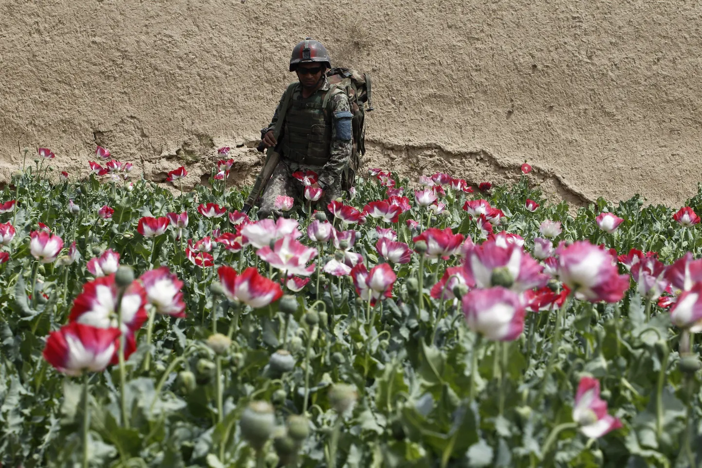 Afganistani sõdur moonipõllul.