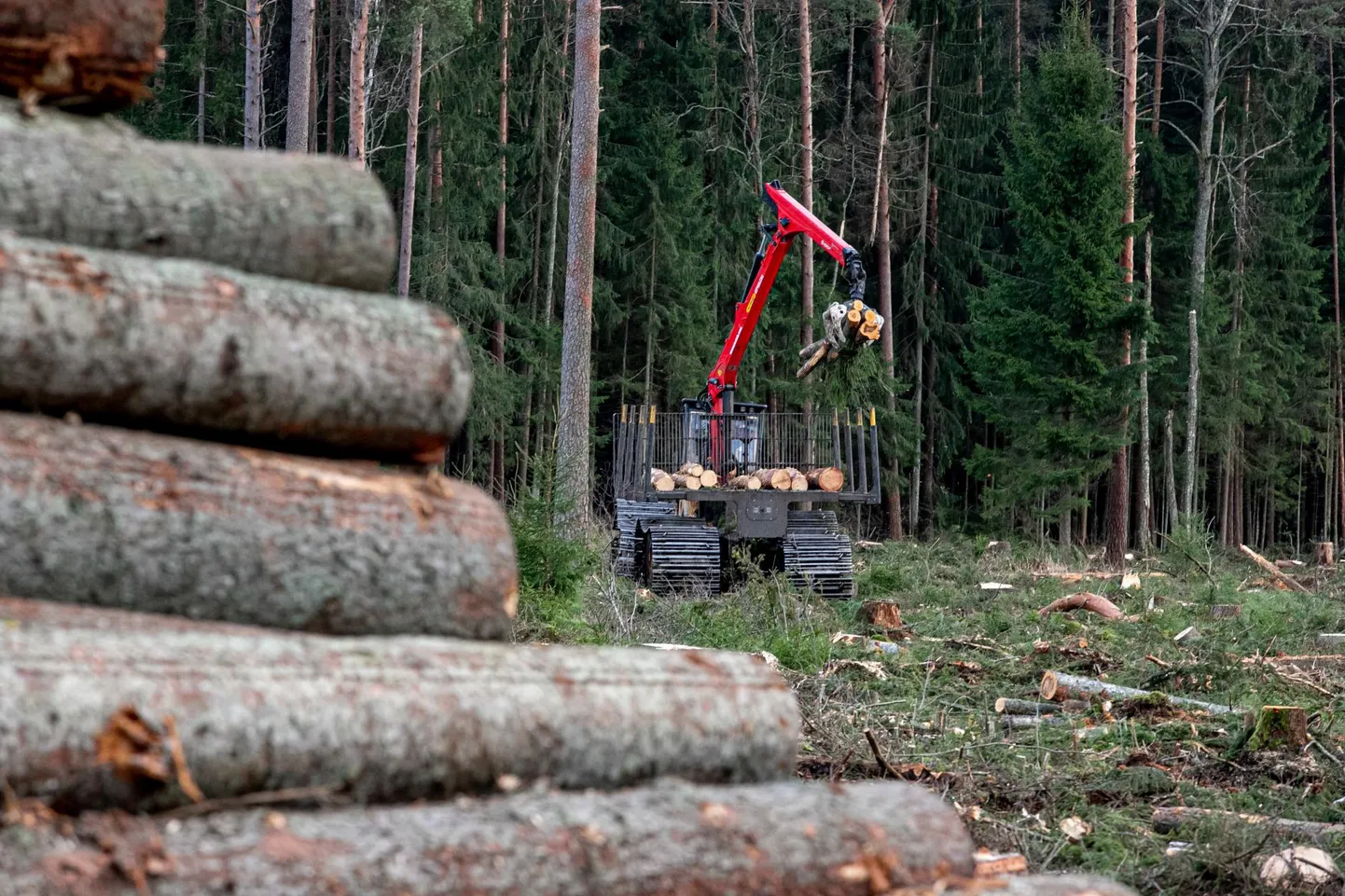 Iga-aastased raiemahtude muutused tekitavad ettevõtluskeskkonnas ebakindlust ning ei võimalda ka RMK-l rakendada pikaajalisi plaane kestlikuks metsamajandamiseks.