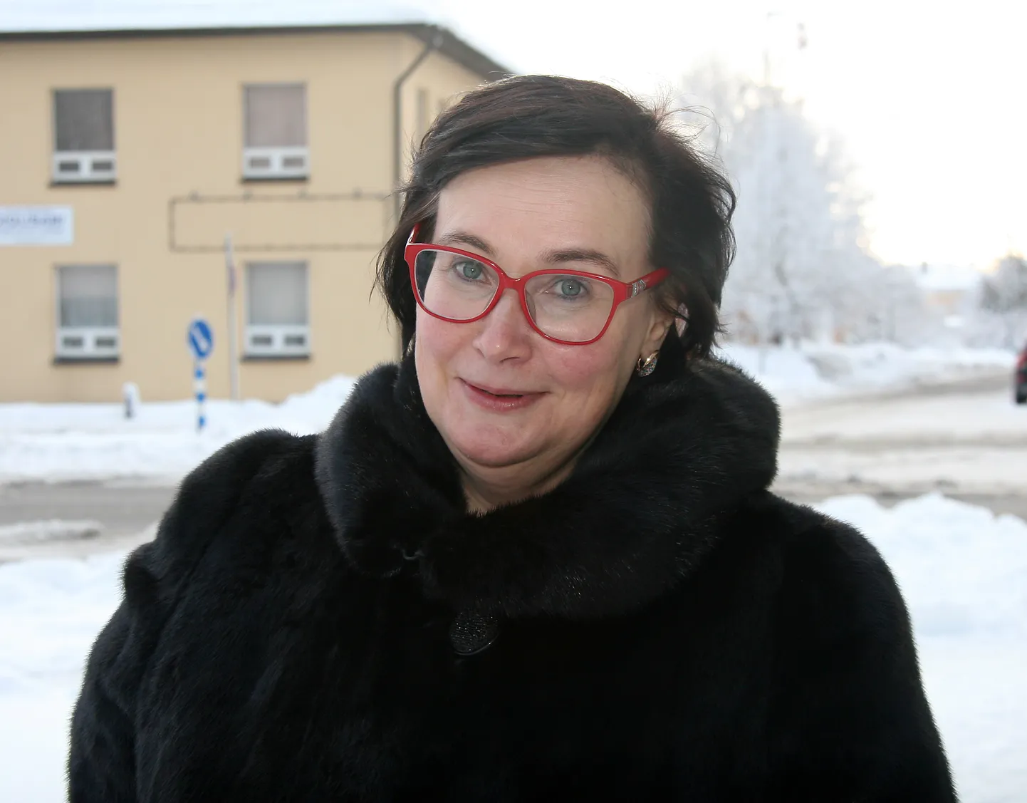Катри Райк считает, что поданная Мартином Репинским в суд жалоба безосновательна.