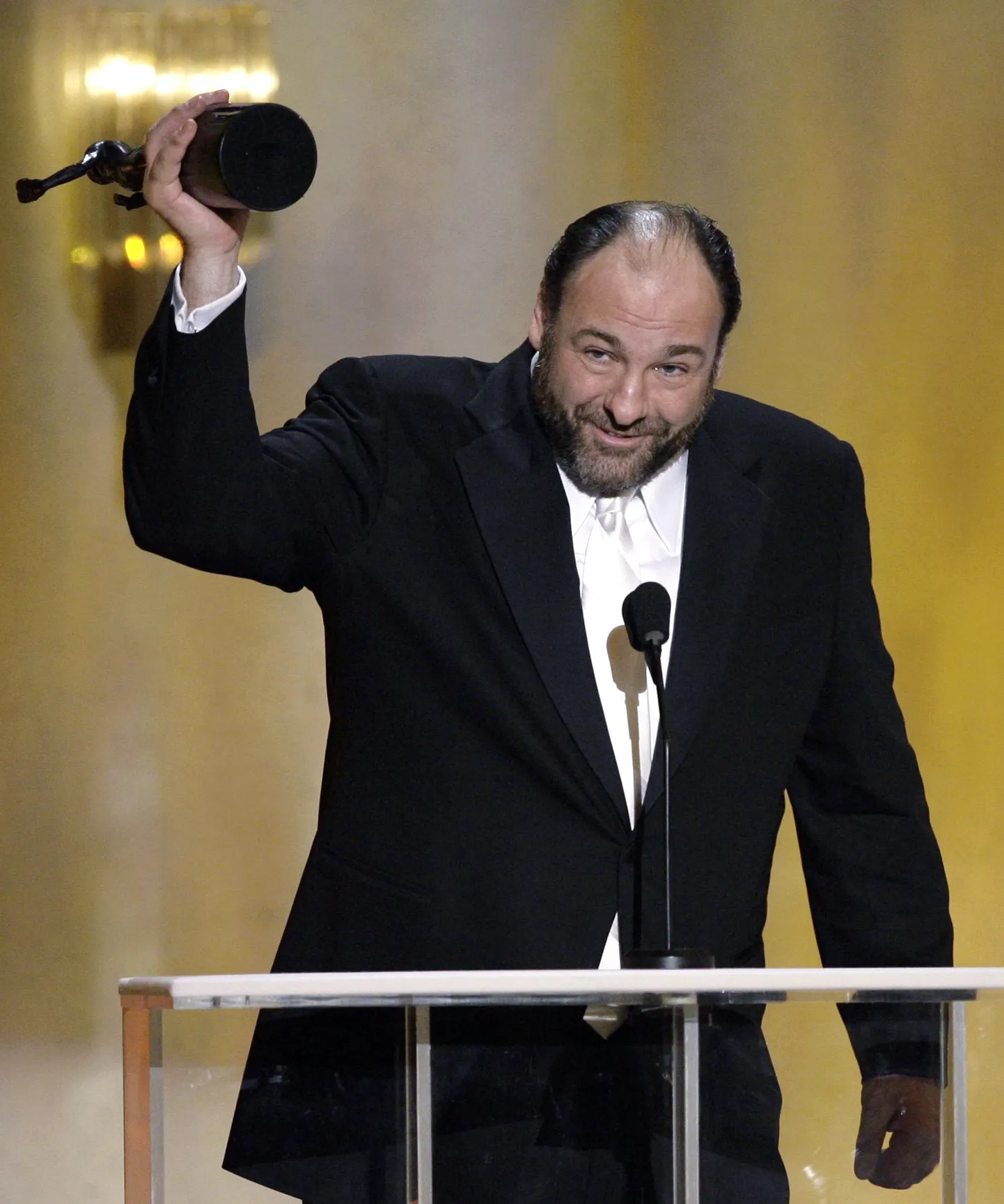 James Gandolfini