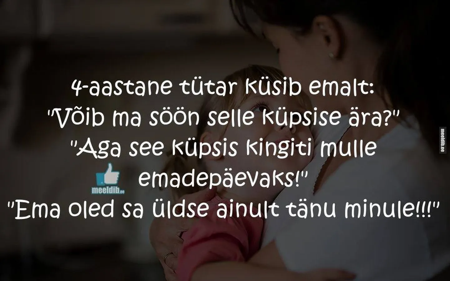 Artikli foto