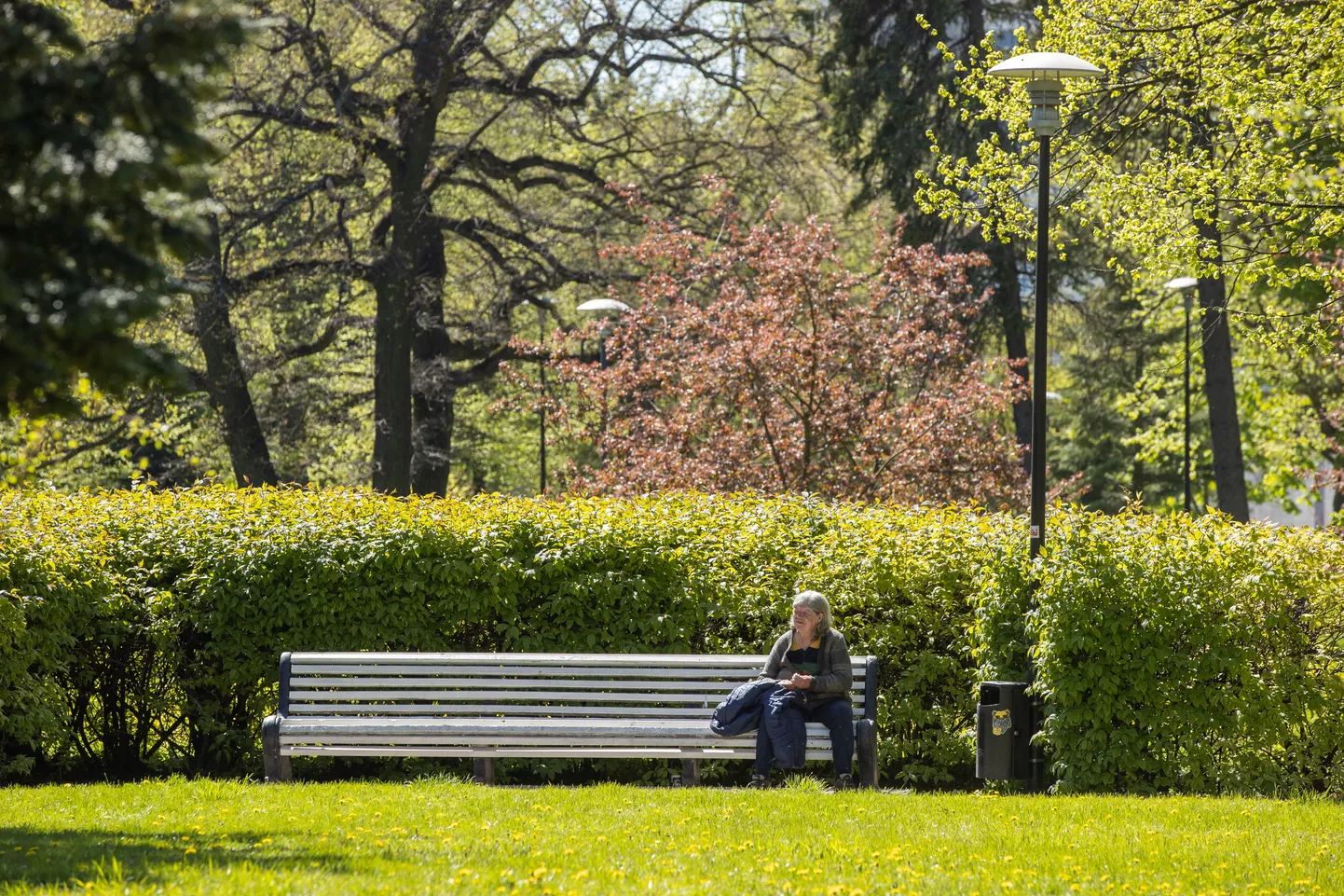 Schnelli park.