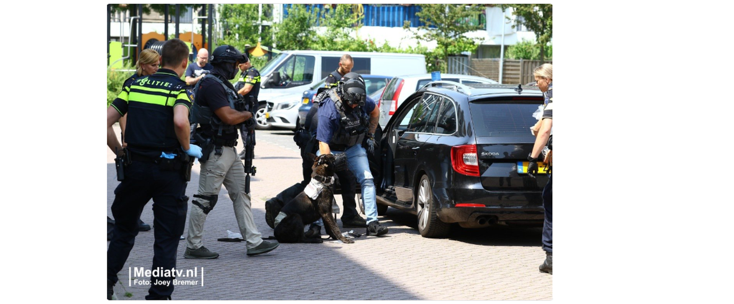 Surmavalt haavata saanud politseikoer Hollandis.