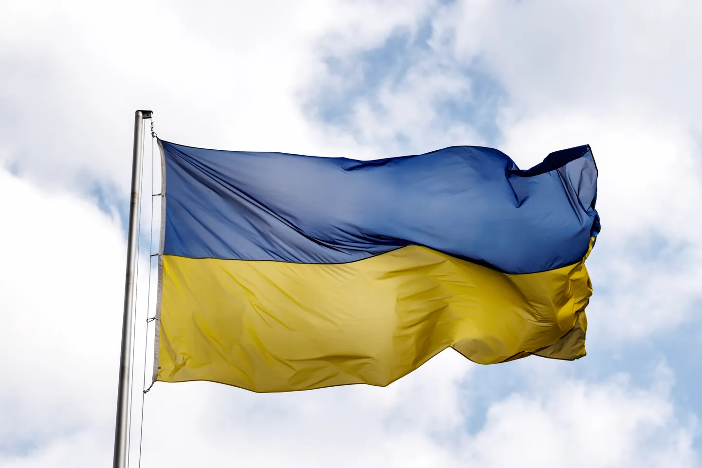 Ukrainas karogs