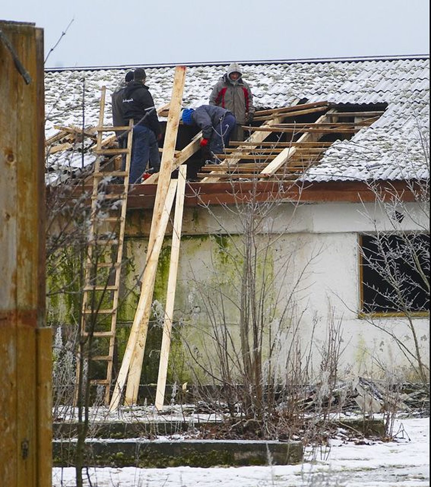 Tallegg on alustanud Uudeküla hanilate konserveeerimistöid, et peatada hoonete lagunemine.