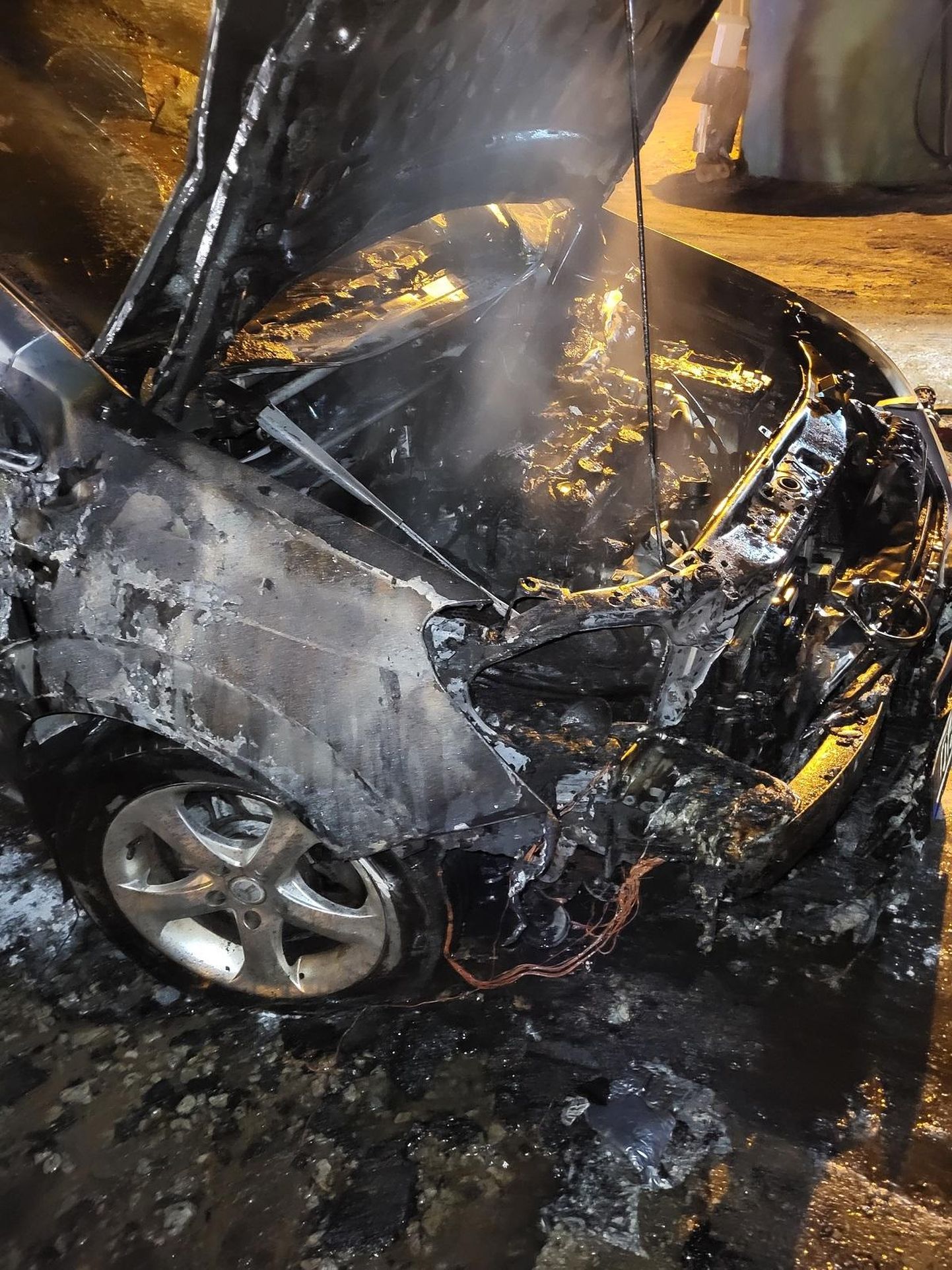 Lehispuu teel süttinud auto sai tules tugevasti kannatada.