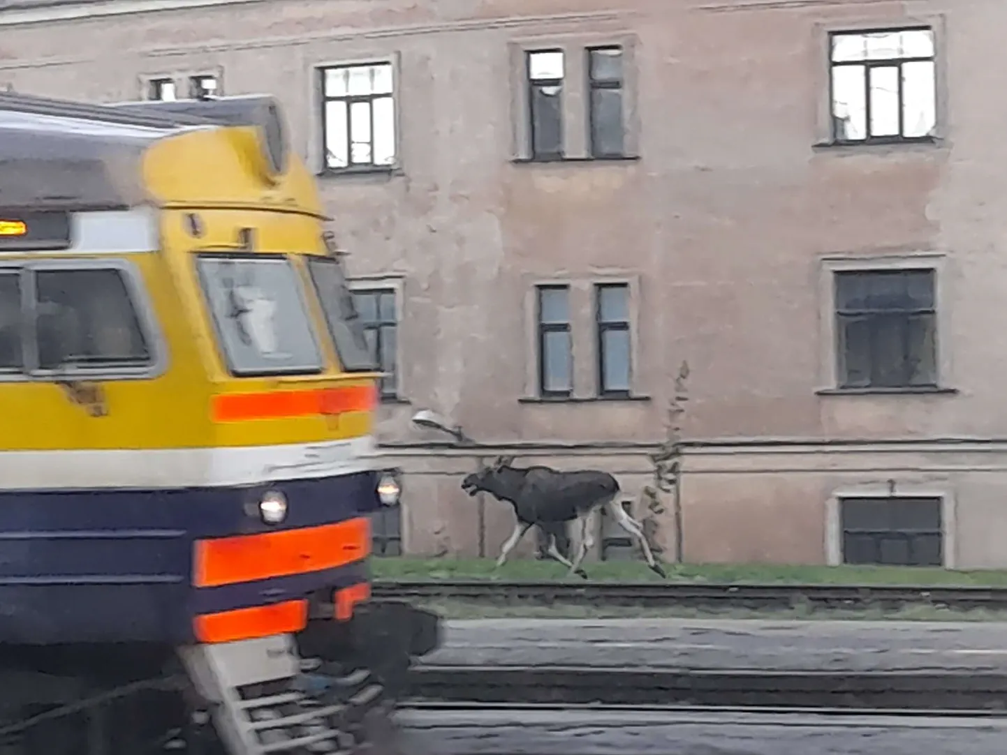 Raksta foto