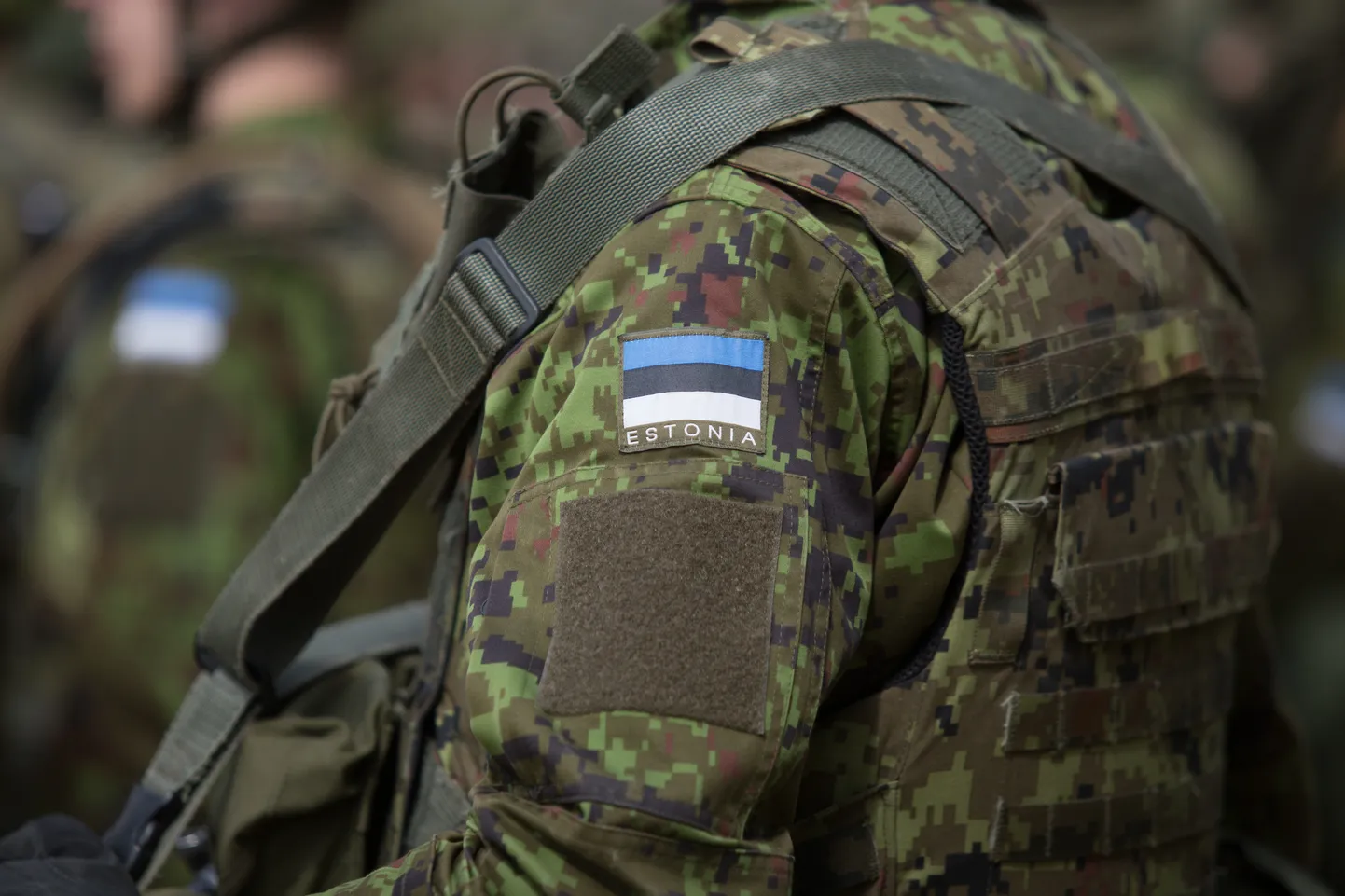 Kuna õppuste käigus kasutatakse rasketehnikat ja valju heli tegevaid vahendeid, eksisteerib oht, et lahtiselt liikuvad koduloomad suure ehmatusega minema jooksevad