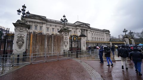 Londoni politsei võttis kinni Buckinghami Palee väravaid ramminud mehe