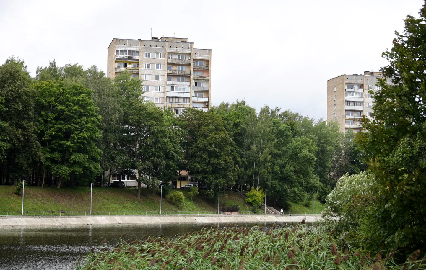 Фото статьи
