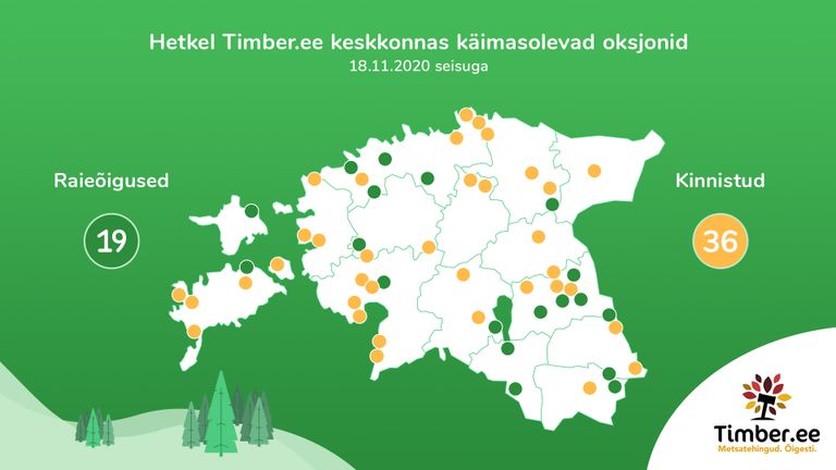 Kõigi käimasolevate ja lõppenud raieõiguste ja metsakinnistute oksjonitega saab tutvuda Timber.ee oksjonikeskkonnas oksjonid.timber.ee