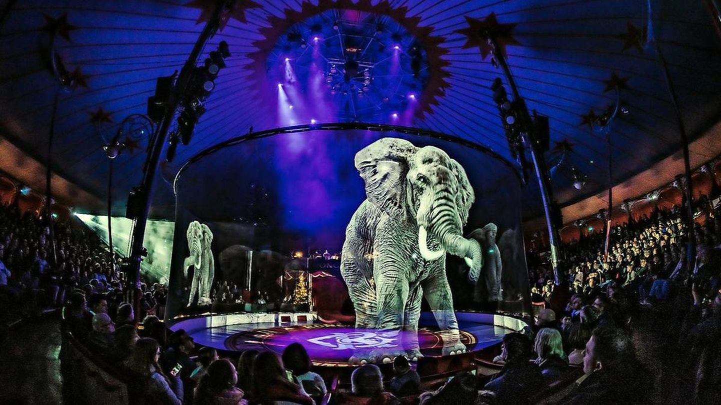 Etendusel «Tuleviku tsirkus» saab hologrammidena näha elusuuruses elevante.