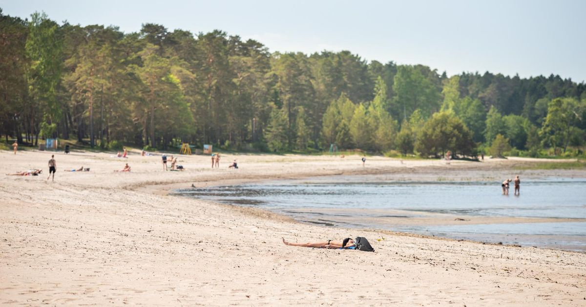 Jooksuvõistlus toob Võsule osalejaid Euroopast ja Ameerikast