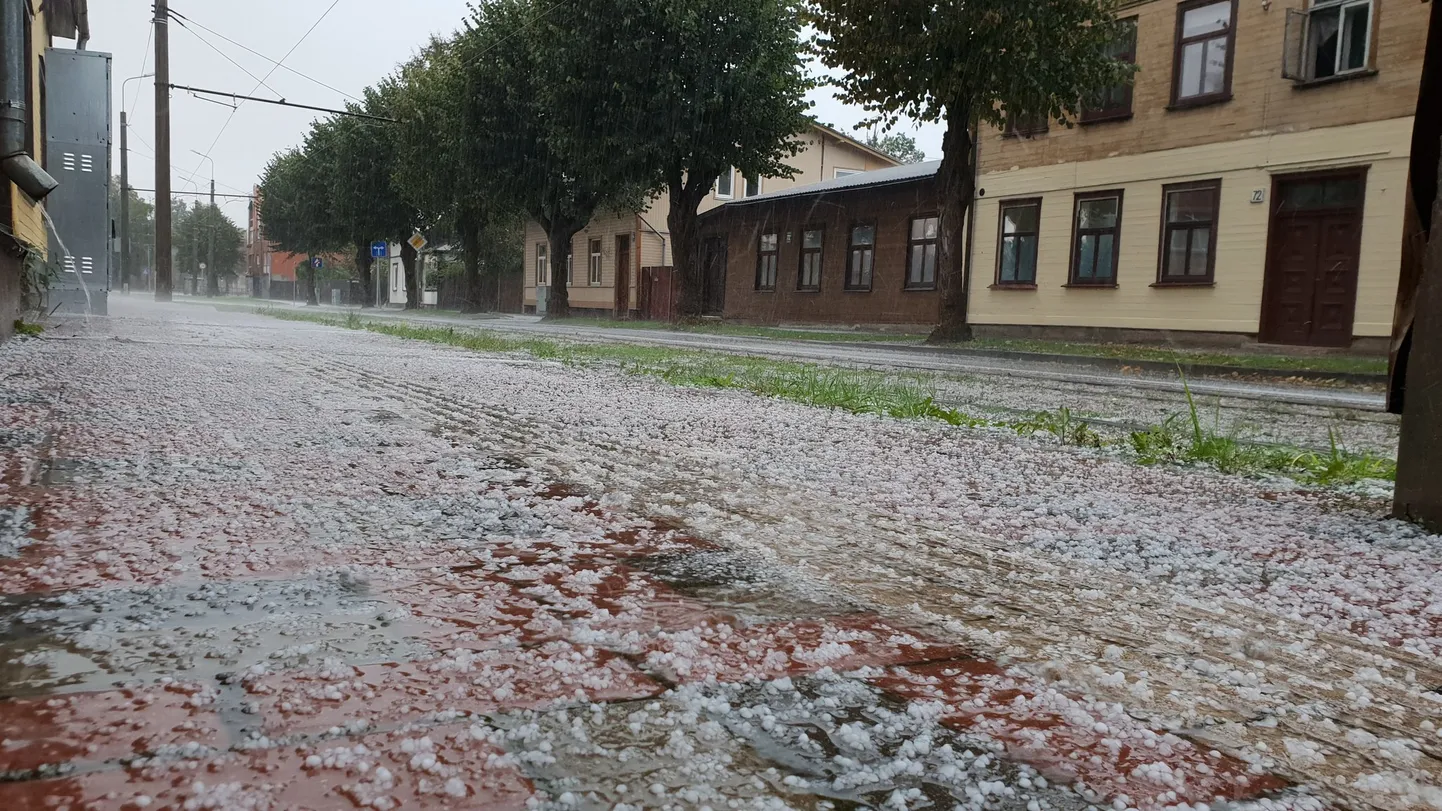 Raksta foto