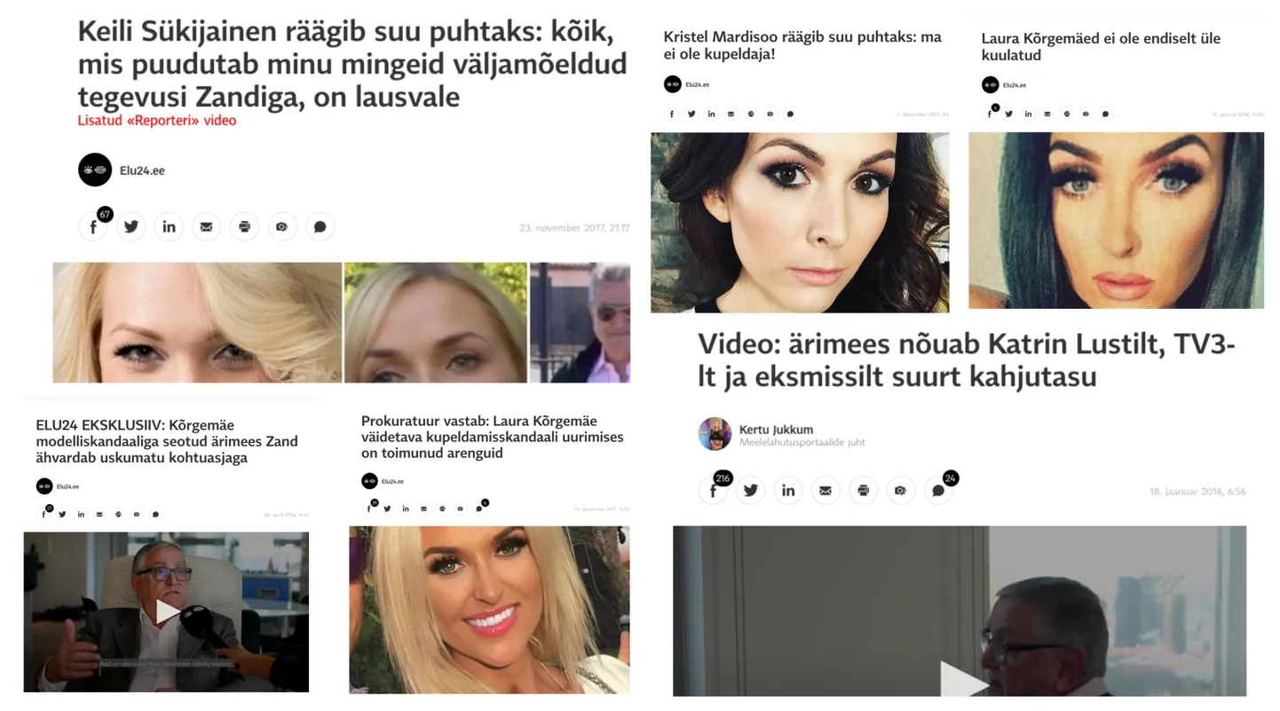 Ülevaade avaliku tähelepanu all olnud saagast.