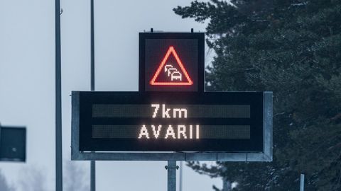 Tallinn-Narva maanteele paigaldatakse elektroonilised liiklusmärgid kuni Haljalani