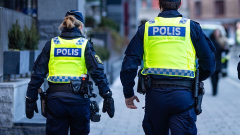 Swedish police detain Russian tourists camping near defense CEO's villa