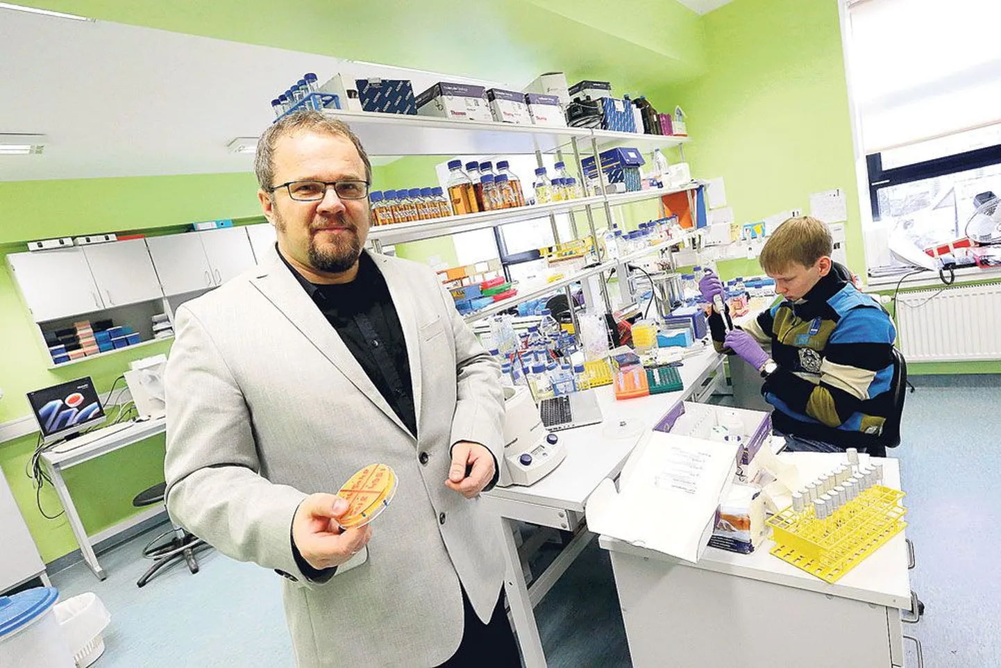 Mart Loog näitab molekulaarse süsteemibioloogia laboris TÜ loodus- ja tehnoloogiainstituudis pärmirakkude kolooniaid, mida uurides on nad paari aastaga teinud läbimurde. Järgmiseks uuringuks eraldab bakteritest DNAd biokeemia doktorant Rait Kivi (paremal).