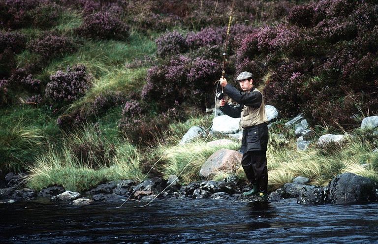 Принц Чарльз в 1982 году ловит лосося в реке Ди, протекающей через угодья королевского поместья в Балморале. Не исключено, что улов, если таковой был, сразу же попал на стол