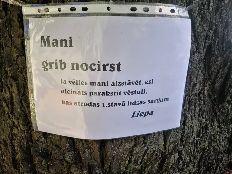 Raksta foto