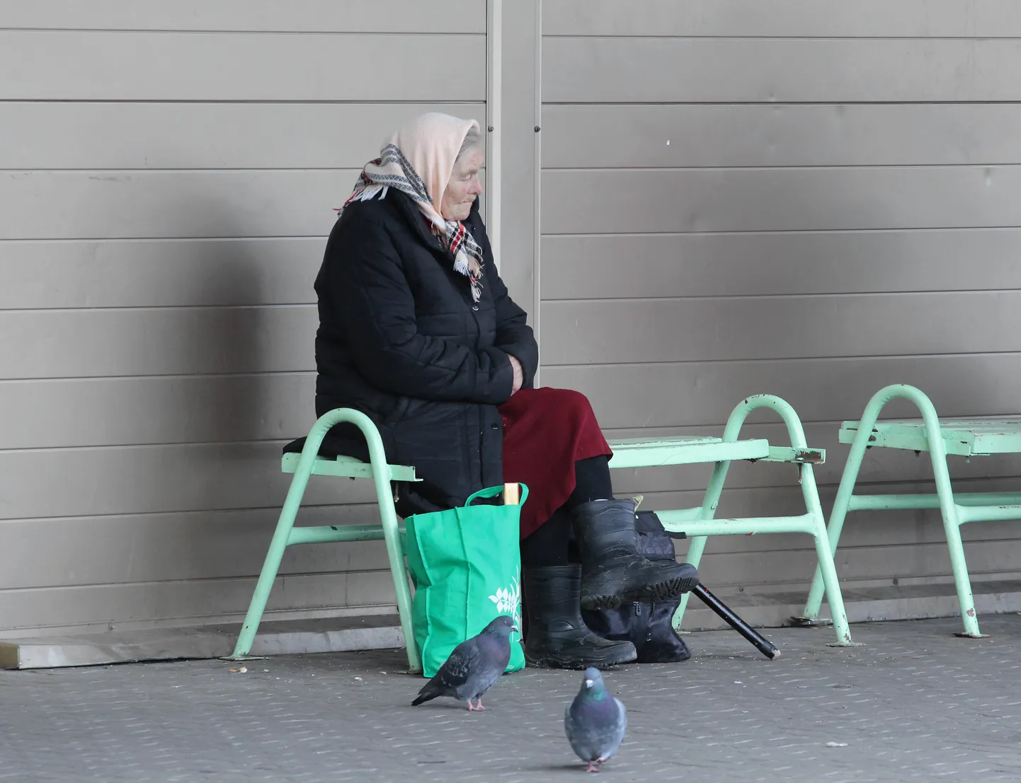 Üksi elava pensionäri toetust saab inimene, kes perioodil 1. aprillist 30. septembrini on vanaduspensionieas, elab rahvastikuregistri andmetel üksi ning kelle vanaduspension on alla 492 euro.