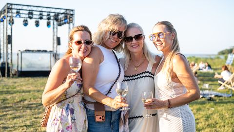 VÄIKESAARE GALERII ⟩ Tants päikeseloojangu taustal ja pidu paduvihmas – vaata, mis toimus Vormsi Vaibi festivalil