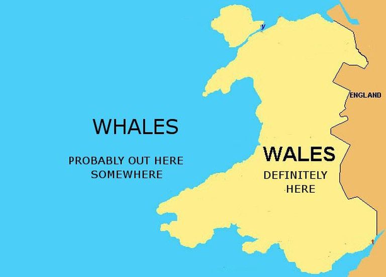 Twitteris pilatakse Donald Trumpi kirjaviga, millega ta tegi Walesi printsist «vaalade printsi» (Prince of Whales)