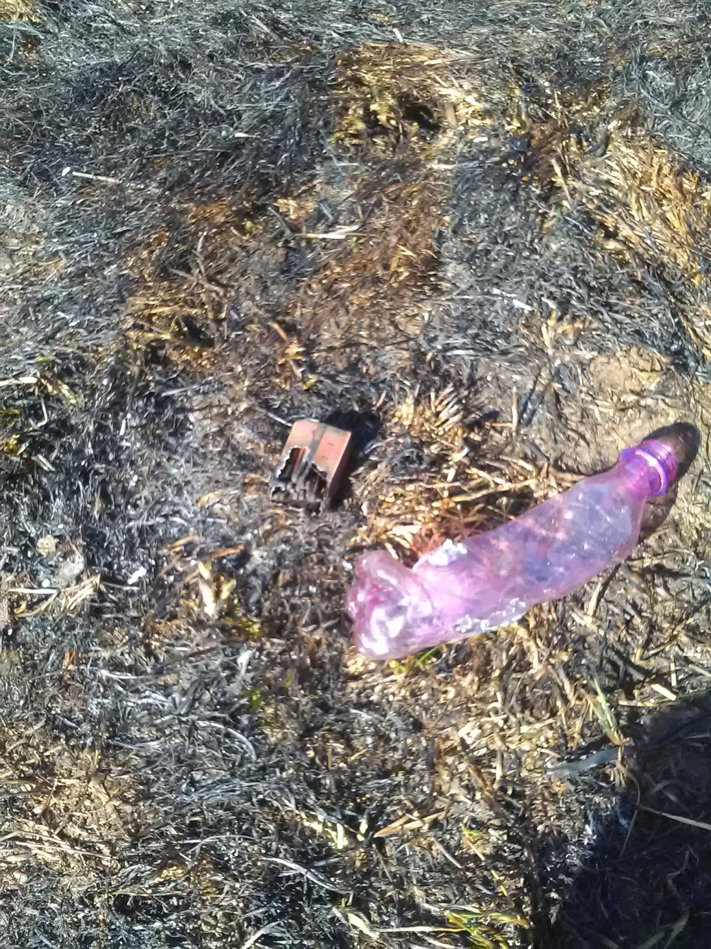 Põlenud kulu seest leiti tikutoos. FOTO: Päästeamet