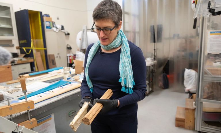 Professor Valeria La Saponara on juba 2019. aastast uurinud seeneniidistiku kasutamist fossiilsete materjalide asendajana, mis hiljem ka looduses lagunevad. Tuuleturbiinide labades kasutades aitaks see ära hoida tohututes kogustes rämpsu, mis muidu lihtsalt maa alla maetakse.