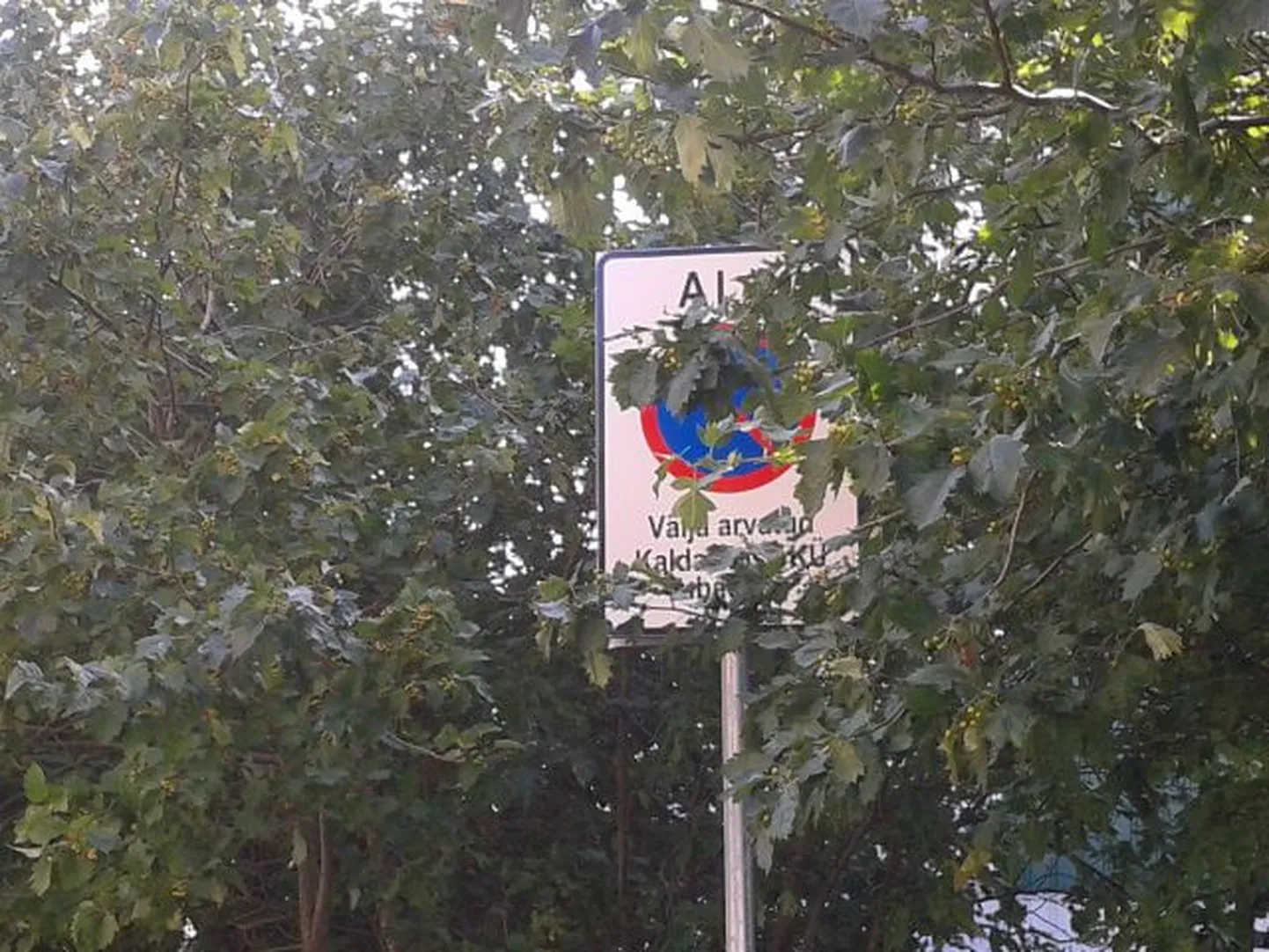 Знак, заслоненный ветками деревьев.