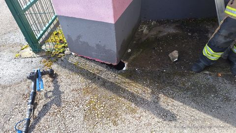 Murdusid puud ja koni tekitas vundamendis tulekolde