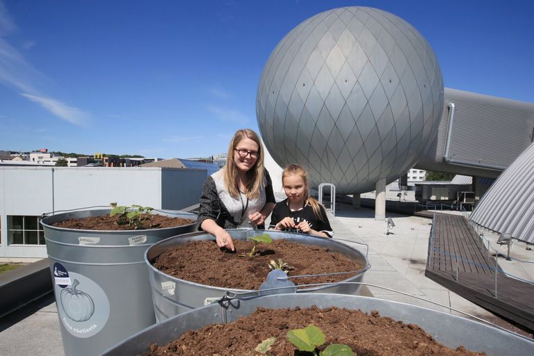 Teadusfestivali peakorraldaja Anna-Liisa Ingver koos oma õe Adeele Mariega varasuvel Ahhaa katusel kõrvitsataimede juures.