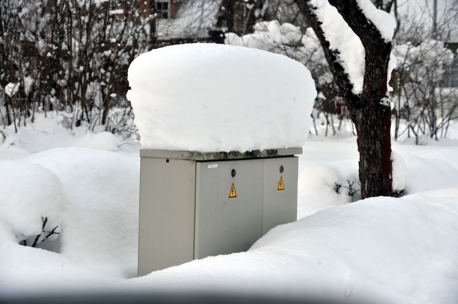 Uhke lumemütsi saanud elektrikapp Tallinnas.