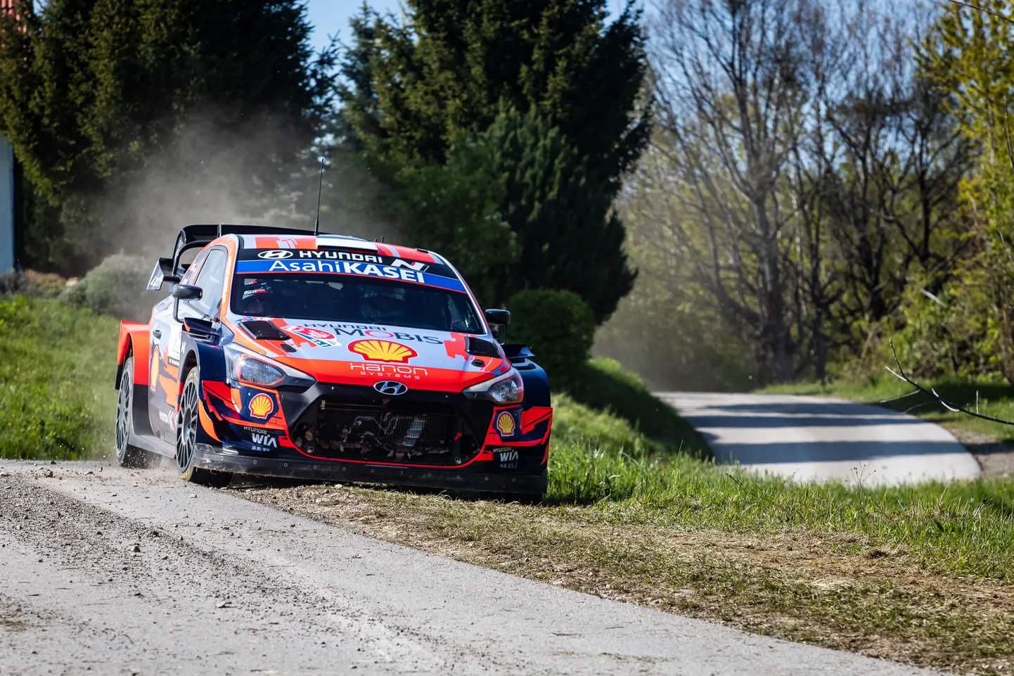 Ott Tänak kihutamas Horvaatia rallil.