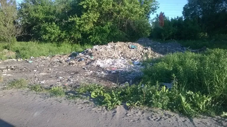 Raksta foto