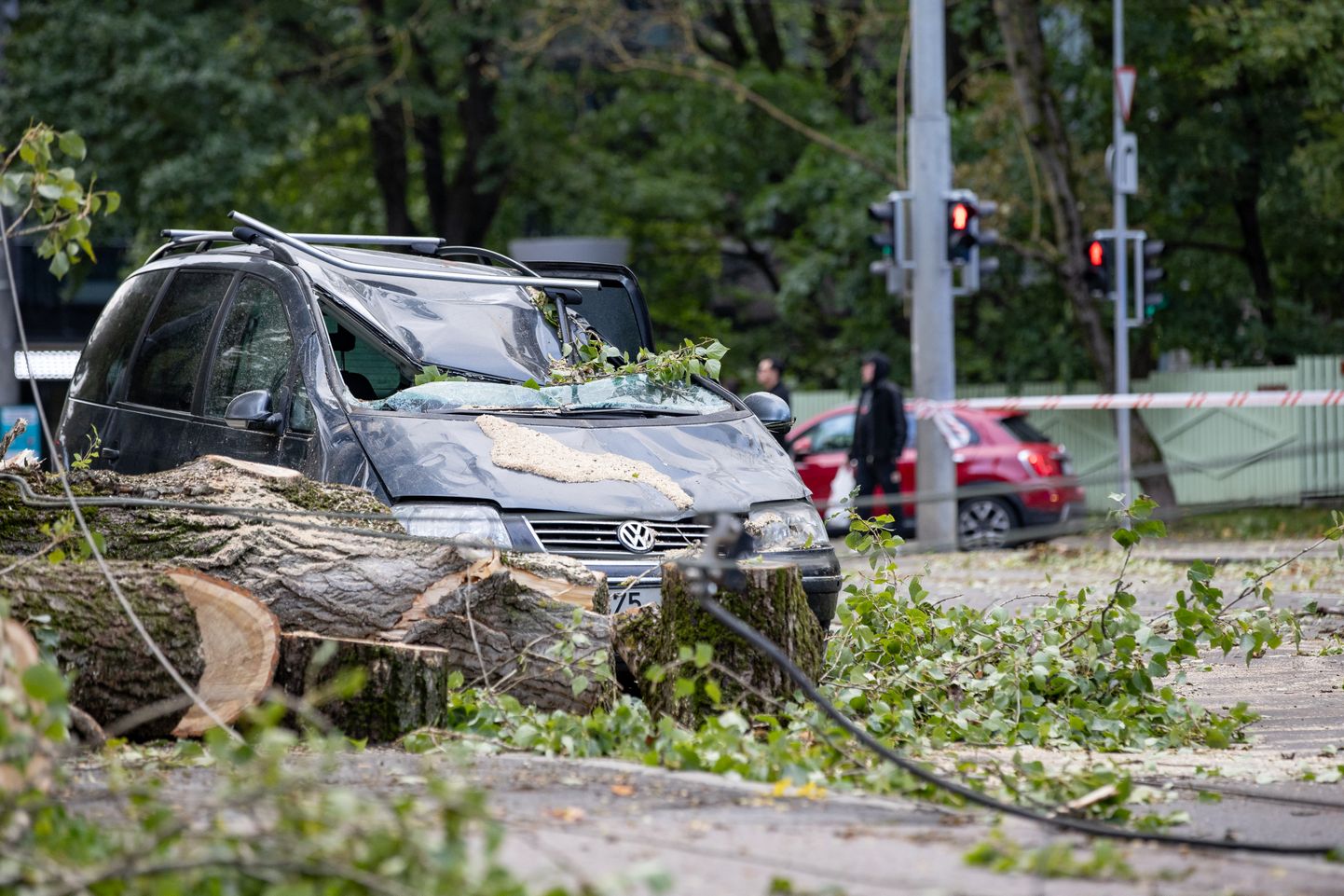 Tormis murdunud puu lõhkus trammiliini ja sõiduauto Narva maanteel