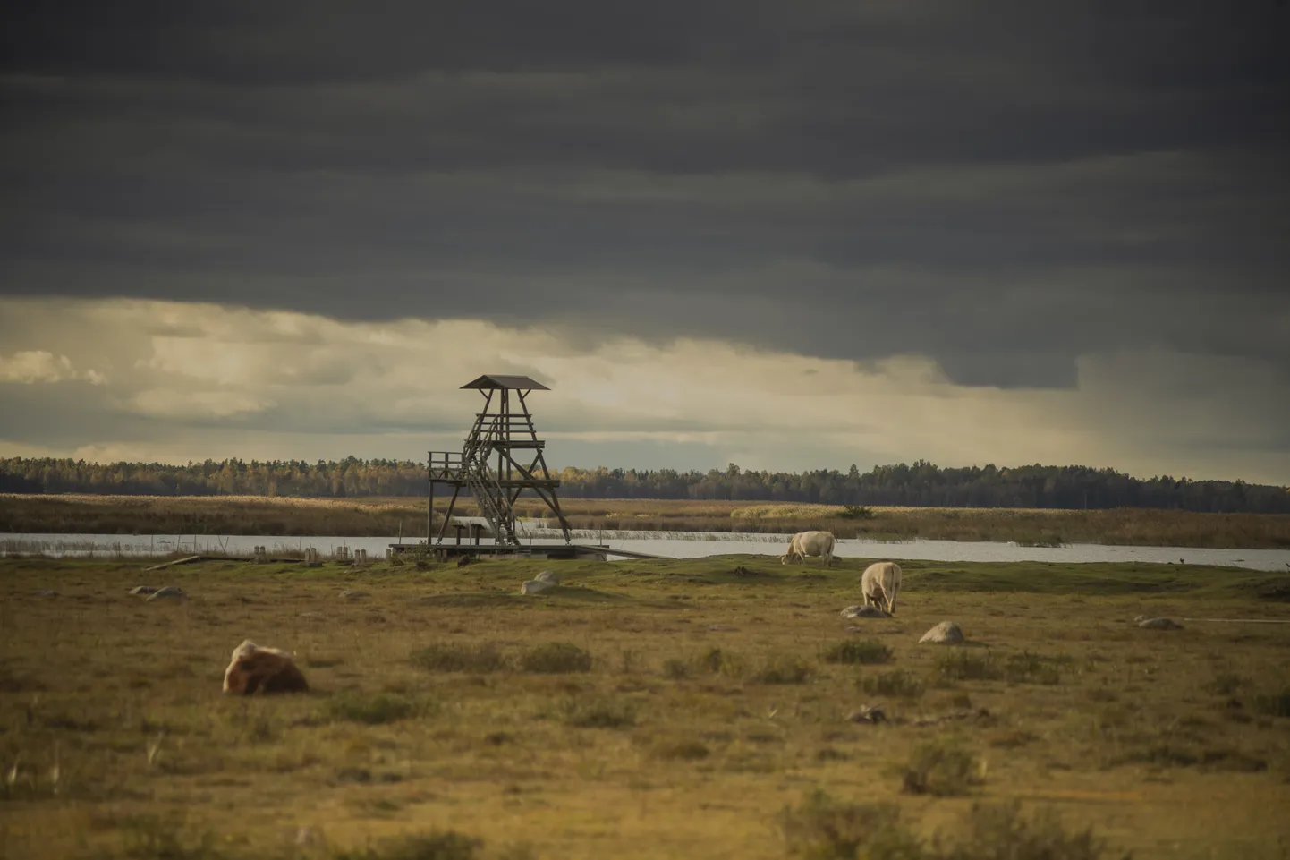 Foto: Rudenīgs miers pie Engures ezera