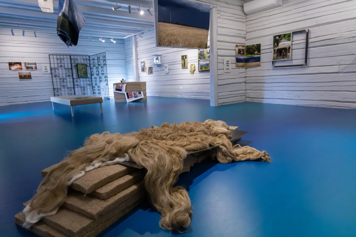 Rüki galeriis avanevas Liina Siibi unenäolises rännakus on kõrvuti nihkes ja tihendatud objektikooslused, mille loomist on inspireerinud August Kitzberg ja tema teosed, samuti haridus, rahvuslik ärkamine, linakasvatus ja nüüdisaegsed tehiskiud.