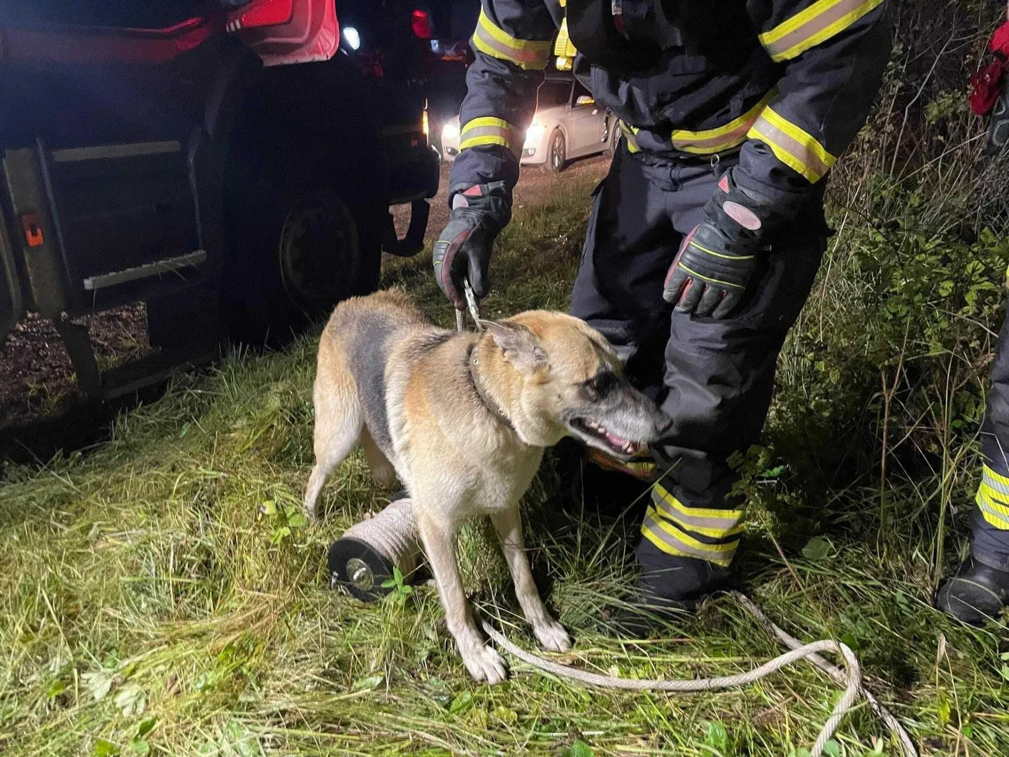 Saiakoplis päästeti kaevu kukkunud koer.