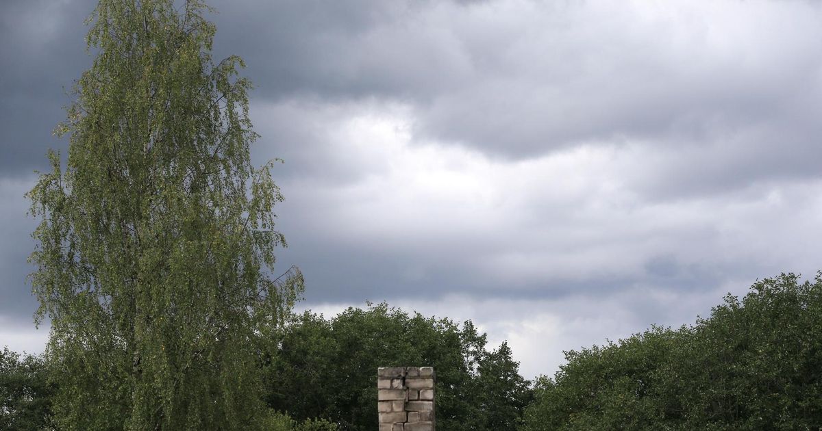 Reedel on oodata pilvist ja vihmast ilma