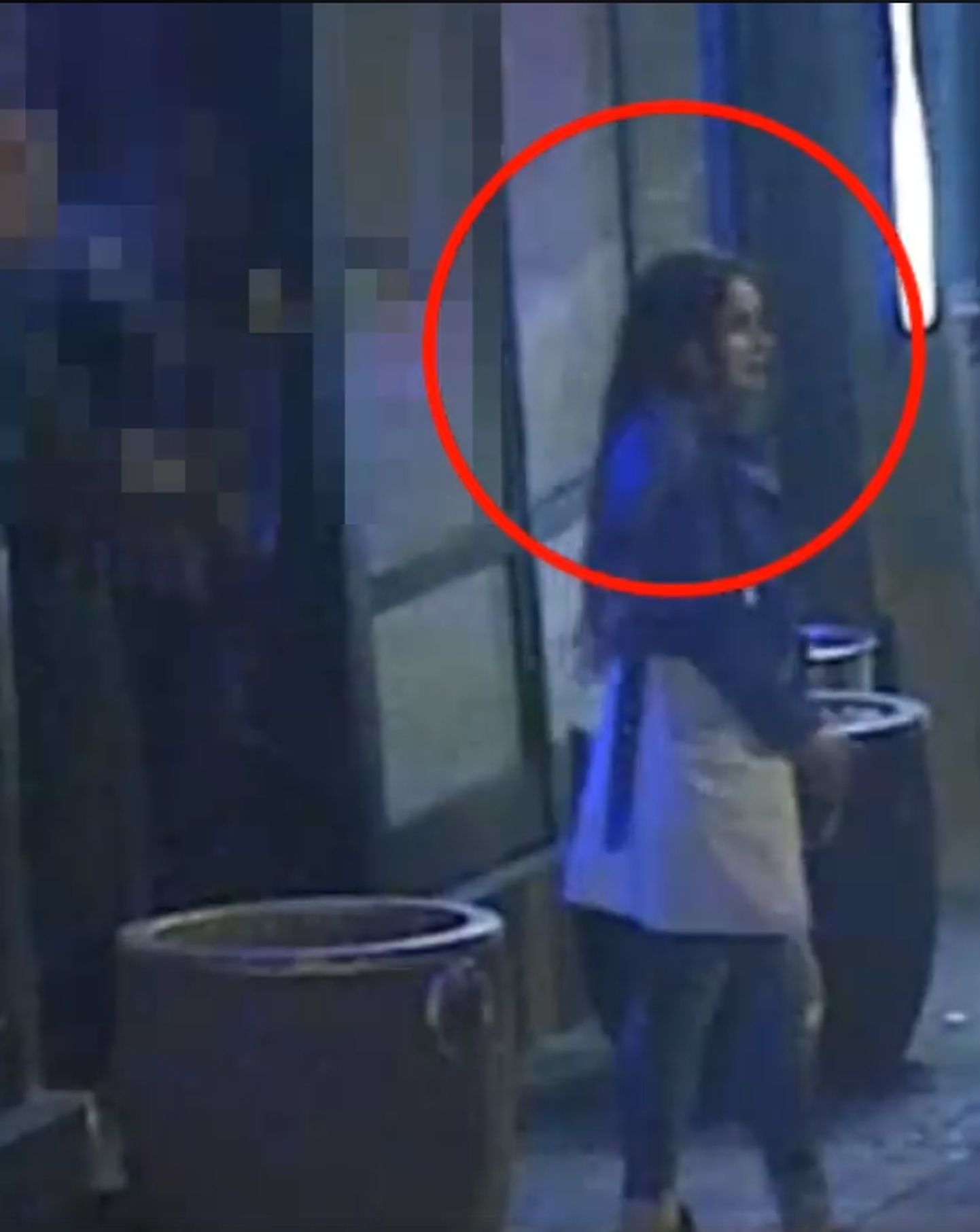 Policija meklē video redzamo sievieti