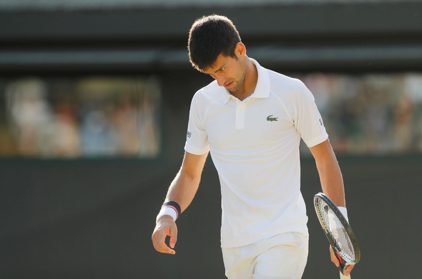 Novak Djokovic pidi vigastuse tõttu Wimbledonis edasisest võistlemisest loobuma.