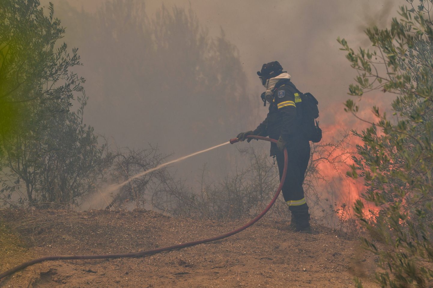 Kreeka tuletõrjuja maastikupõlengut kustutamas.