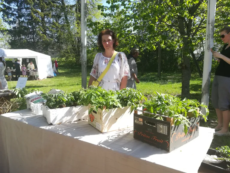Merle kaupleb laadal tomatitaimedega