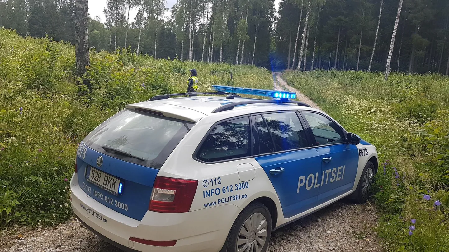 Metsa eksinud marjulise otsingud.