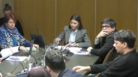 Madin korruptsioonikomisjonis: «Mina riskijuhina soovin absoluutselt, et seda osalust ei oleks!»