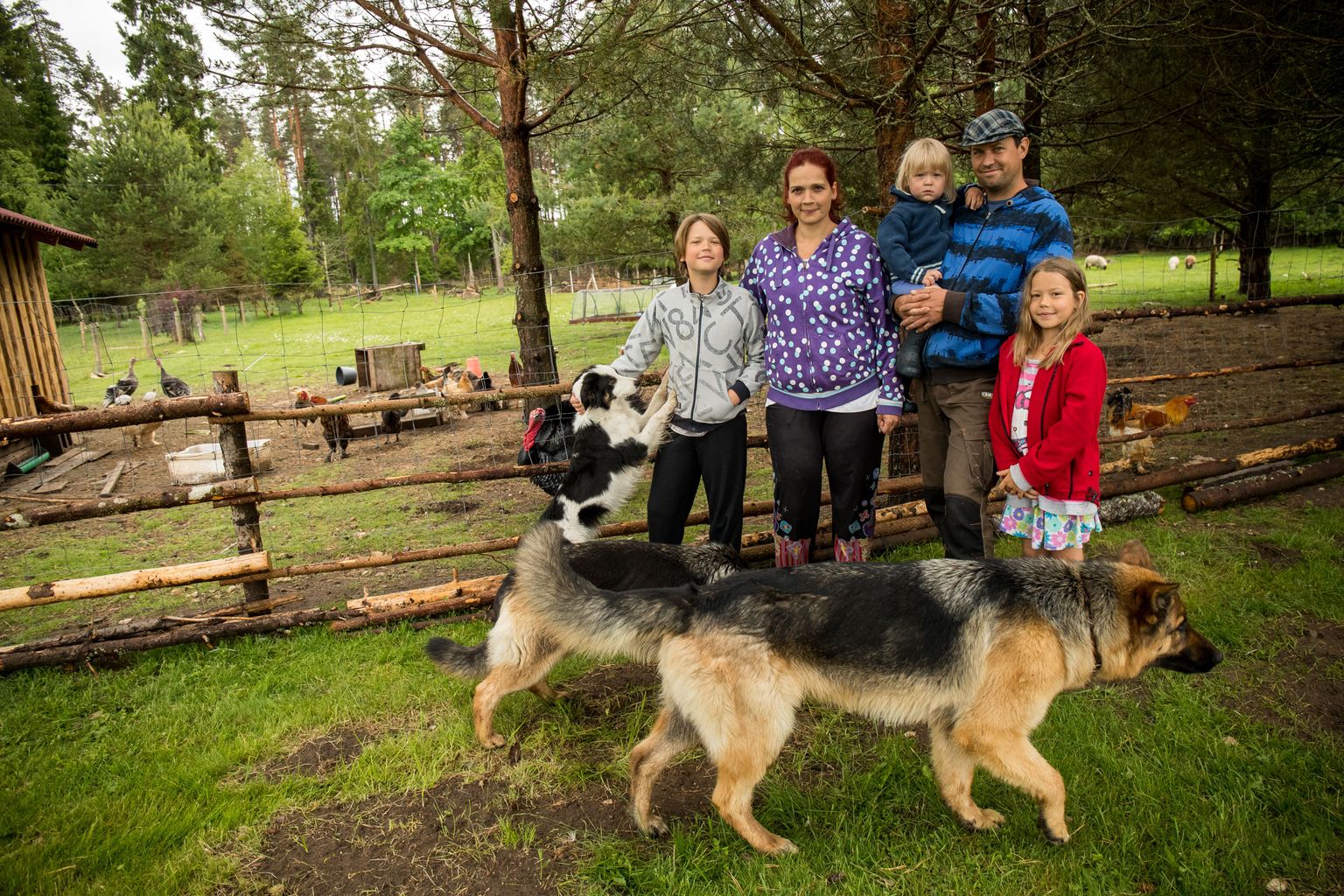 «Meie Bullerby» perekonda kuuluvad lisaks inimestele ka loomad koertest kuni paabulindudeni. Vasakult: Mihkel, ema Marili, Karl, pereisa Kaido ja Kadri.