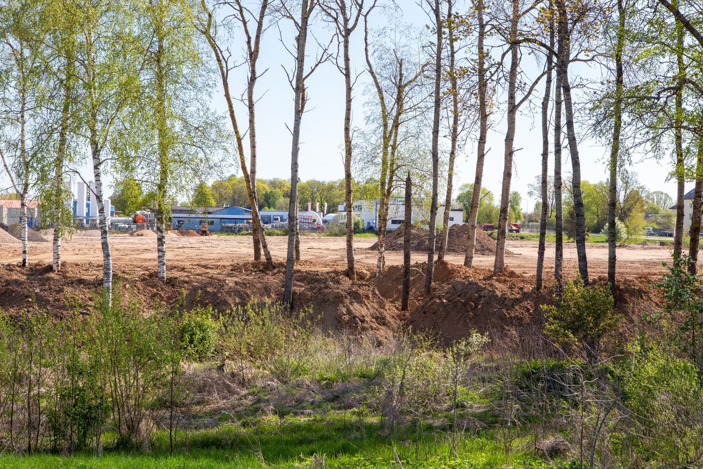 Viljandi piiril Pärnu maantee 32 kinnistul on tehtud pinnasetöid ning puud seisavad nüüd tüvepidi sügaval maa sees. Omaniku plaani järgi võetakse need lõpuks maha.