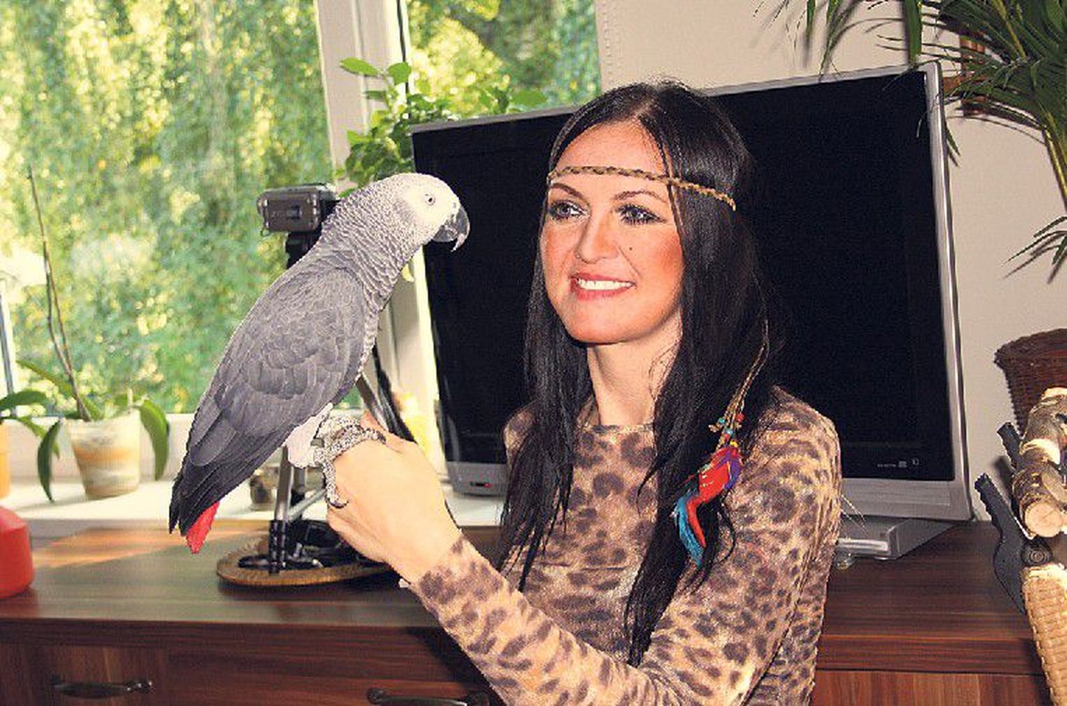 Papagoi ja tema taltsutaja: Robbiest, kes oli alguses tige ja kartlik lind, on tänu treenerist omanikule Katarina Brightile saanud sõnakuulelik seltsiline.