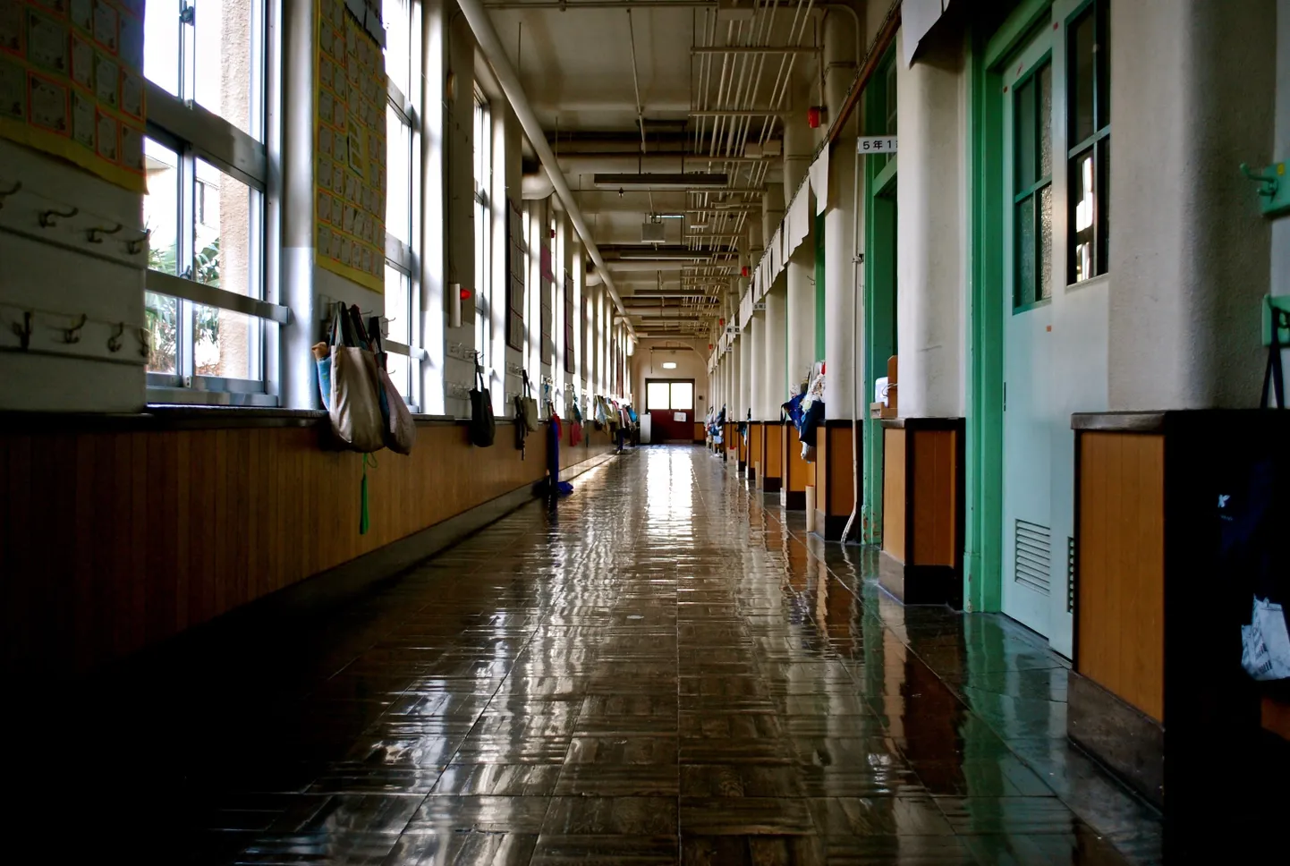 Фото статьи